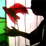 Wednesday May 15, ‘PRISON?’ a theater play, at the OCCII.